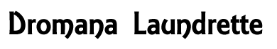 Dromana Laundrette